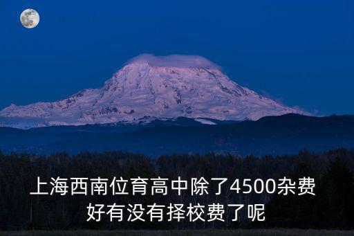 上海西南位育高中除了4500雜費 好有沒有擇校費了呢