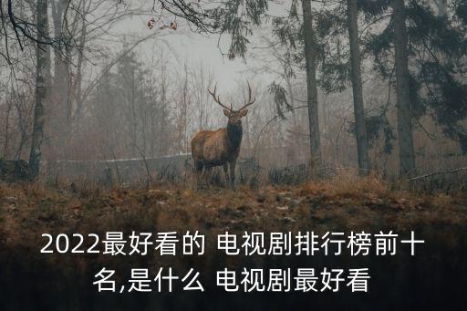 2022最好看的 電視劇排行榜前十名,是什么 電視劇最好看