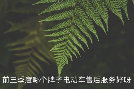 前三季度哪個(gè)牌子電動(dòng)車售后服務(wù)好呀