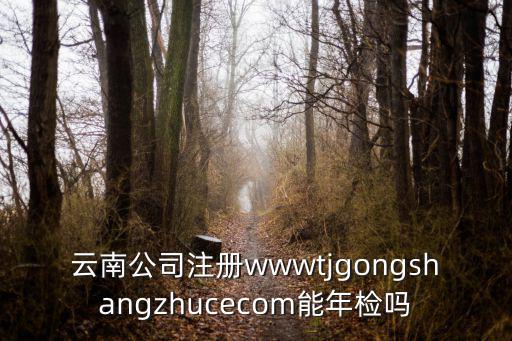 云南省企業登記網絡服務平臺，云南公司注冊wwwtjgongshangzhucecom能年檢嗎