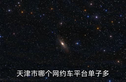 天津市哪個(gè)網(wǎng)約車平臺(tái)單子多