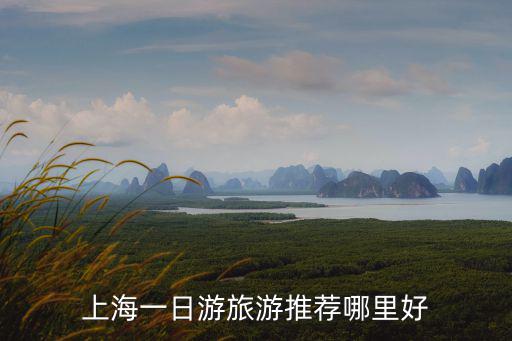 上海適合一日游的地方有哪些景區(qū)，上海一日游旅游推薦哪里好