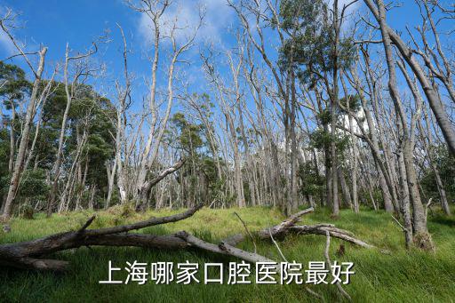 上海哪家口腔醫院最好