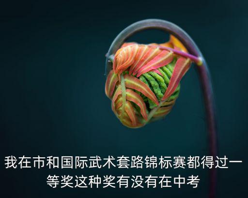 我在市和國際武術套路錦標賽都得過一等獎這種獎有沒有在中考