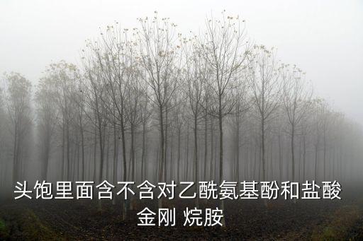 頭飽里面含不含對乙酰氨基酚和鹽酸 金剛 烷胺