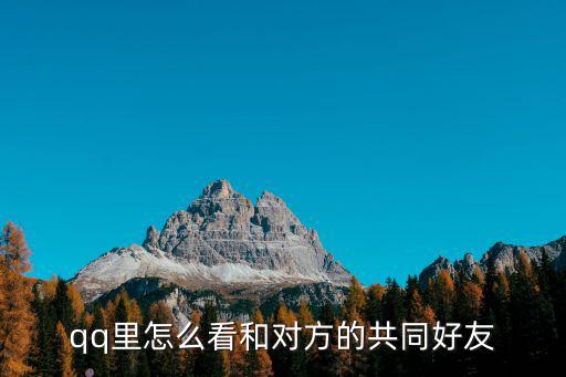 qq共同好友怎么看，qq里怎么看和對方的共同好友