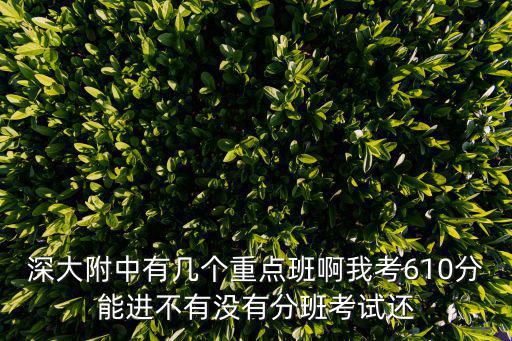 深大附中有幾個重點班啊我考610分能進不有沒有分班考試還