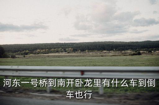 河?xùn)|一號(hào)橋到南開臥龍里有什么車到倒車也行