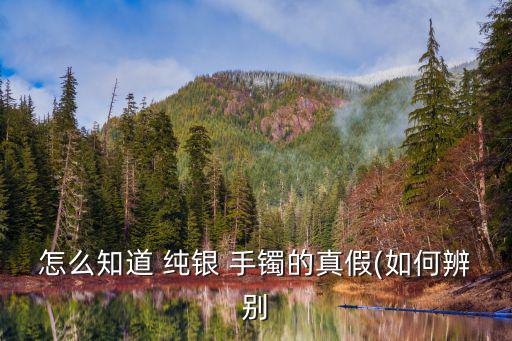 怎么知道 純銀 手鐲的真假(如何辨別