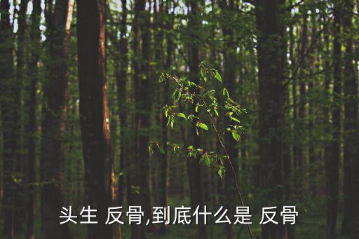 頭生 反骨,到底什么是 反骨