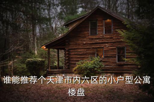 誰能推薦個(gè)天津市內(nèi)六區(qū)的小戶型公寓樓盤