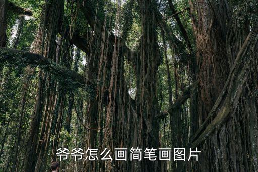老爺爺怎么畫,第十步:畫出老爺爺的兩只手