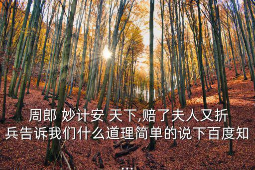  周郎 妙計(jì)安 天下,賠了夫人又折兵告訴我們什么道理簡(jiǎn)單的說(shuō)下百度知...