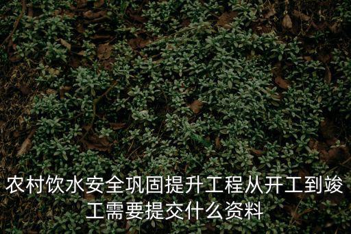 農(nóng)村飲水安全鞏固提升工程從開(kāi)工到竣工需要提交什么資料