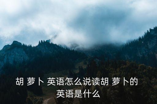 胡 蘿卜 英語怎么說讀胡 蘿卜的 英語是什么