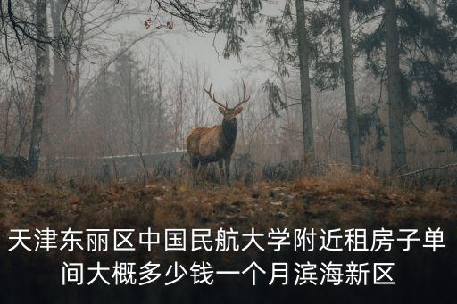 天津東麗區中國民航大學附近租房子單間大概多少錢一個月濱海新區
