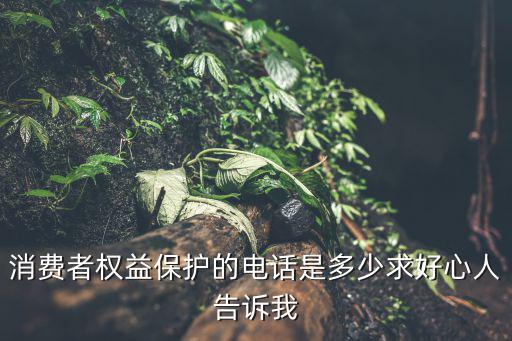 消費者權益保護的電話是多少求好心人告訴我