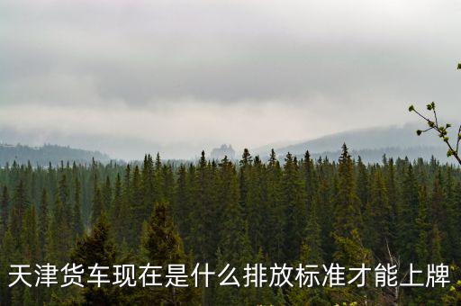 天津貨車現在是什么排放標準才能上牌