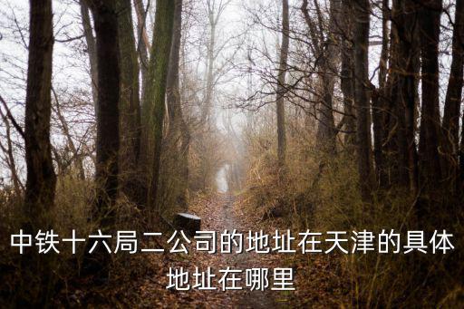 中鐵十六局二公司的地址在天津的具體地址在哪里