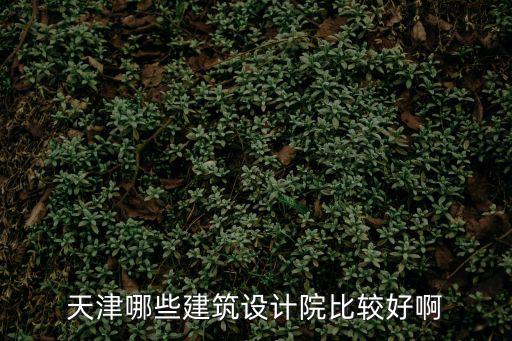 天津哪些建筑設(shè)計院比較好啊