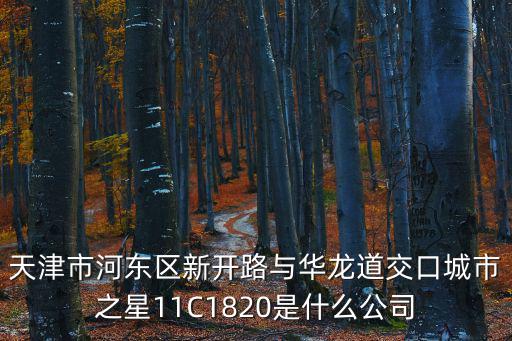 天津市河?xùn)|區(qū)新開路與華龍道交口城市之星11C1820是什么公司