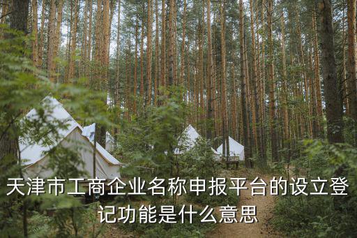 天津市企業(yè)名稱自主申請(qǐng)平臺(tái)，你好核名通過(guò)后憑企業(yè)名稱自主申報(bào)告知書在哪里辦理如何預(yù)約