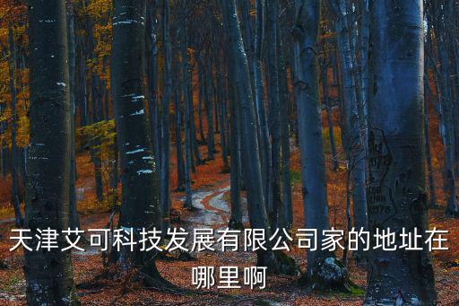 天津艾可科技發(fā)展有限公司家的地址在哪里啊