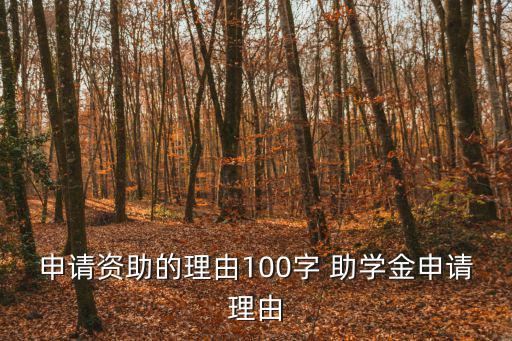 申請資助的理由100字 助學(xué)金申請理由