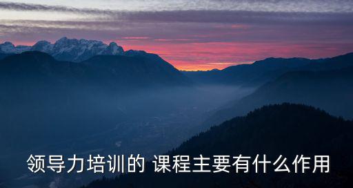 領導力課程,全腦優(yōu)勢在卓悅領導力課程中的應用