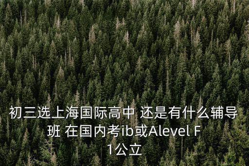初三選上海國際高中 還是有什么輔導班 在國內考ib或Alevel F1公立