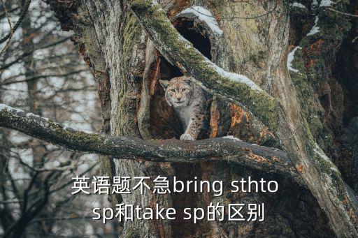 英語題不急bring sthto sp和take sp的區別
