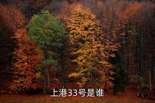 33號,上海上港客場3-2敗給上海申花