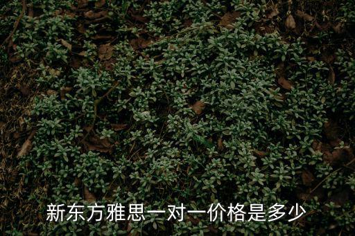 新東方雅思一對一價格是多少