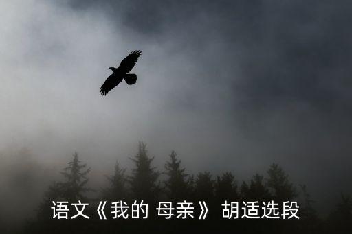 語文《我的 母親》 胡適選段