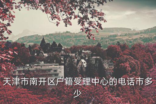 天津市南開區(qū)戶籍受理中心的電話市多少