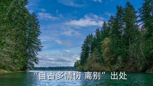 傷離別,網(wǎng)絡(luò)創(chuàng)作純凈感傷風迷倒萬千讀者
