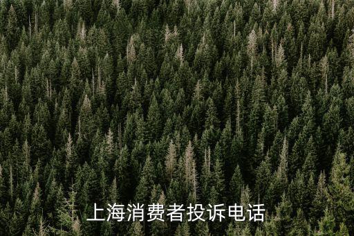 上海服務熱線12345，上海12345
