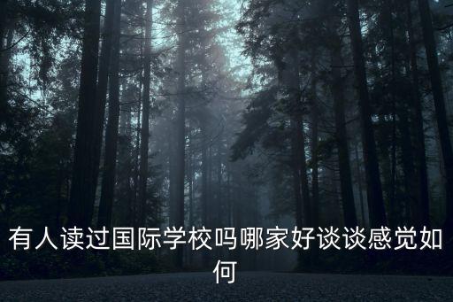 有人讀過國際學校嗎哪家好談談感覺如何