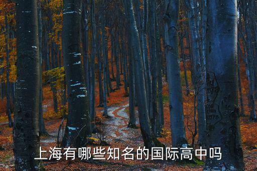 上海國際高中四校八大是哪幾個，上海那些中學有國際高中