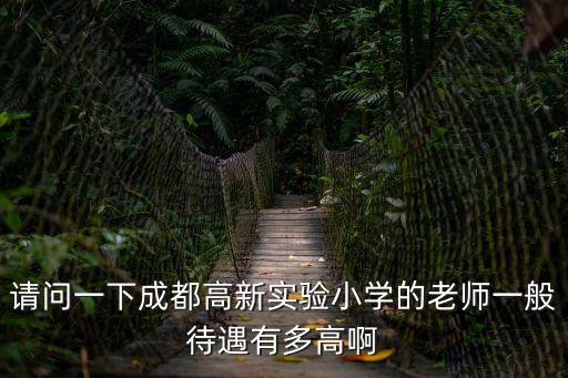 請問一下成都高新實驗小學的老師一般待遇有多高啊