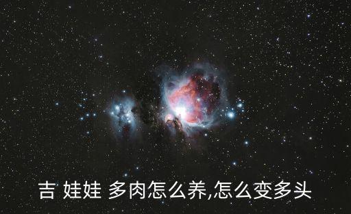 吉娃娃多肉,多肉植物栽培季節(jié)怎么澆水?一文看懂