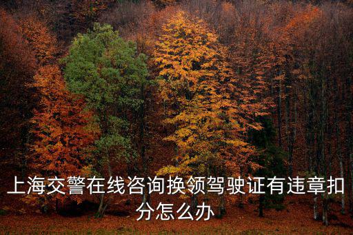 上海交警在線咨詢換領駕駛證有違章扣分怎么辦