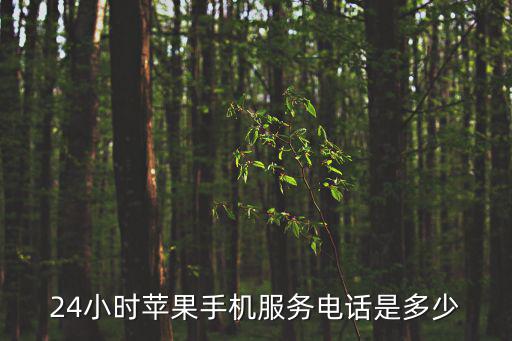 24小時(shí)蘋(píng)果手機(jī)服務(wù)電話是多少