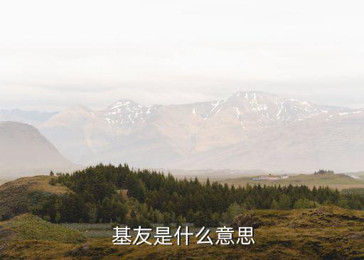 基友是什么意思,基友表示好朋友好基友