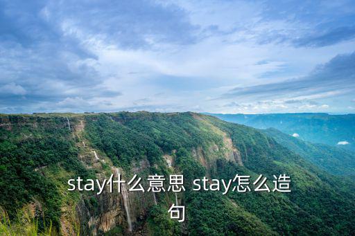  stay什么意思 stay怎么造句