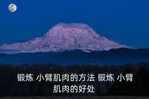 鍛煉小臂,小臂肌肉群