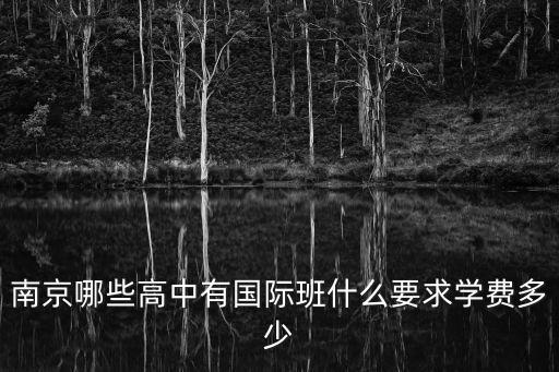 南京哪些高中有國際班什么要求學費多少