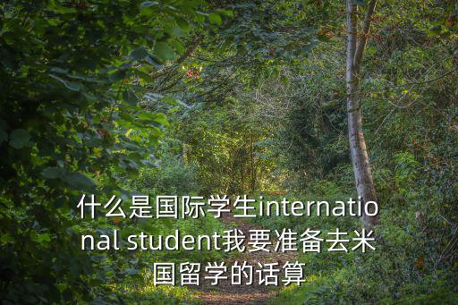 國際人學校是干嘛的，什么是國際學生international student我要準備去米國留學的話算