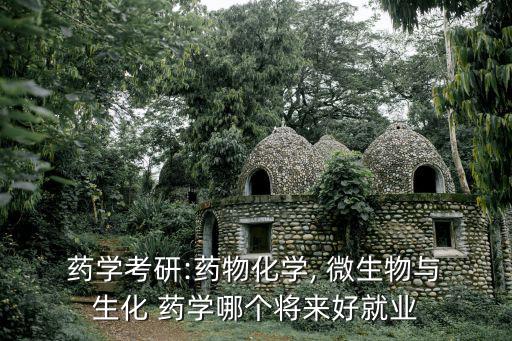  藥學考研:藥物化學, 微生物與 生化 藥學哪個將來好就業