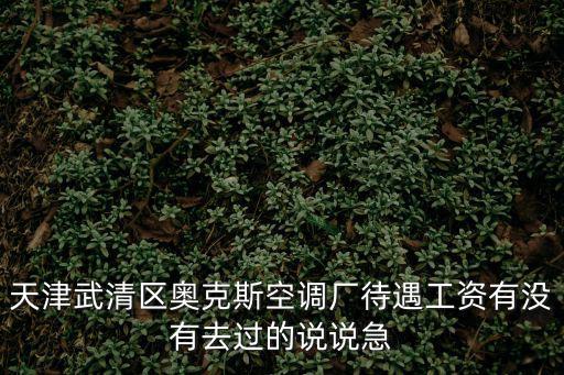 天津武清區奧克斯空調廠待遇工資有沒有去過的說說急